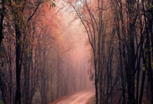 心系京华，共筑复兴梦——习近平引领首都发展新篇章