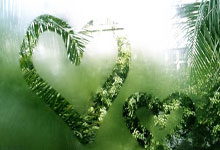 弹孔绘马：小孩哥用气步枪的独特艺术创作