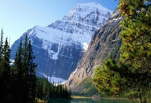 人民日报热议“护学岗”争议：安全守护与效率平衡的探讨