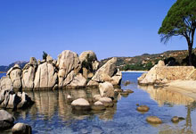 弹孔绘马：小孩哥用气步枪的独特艺术创作